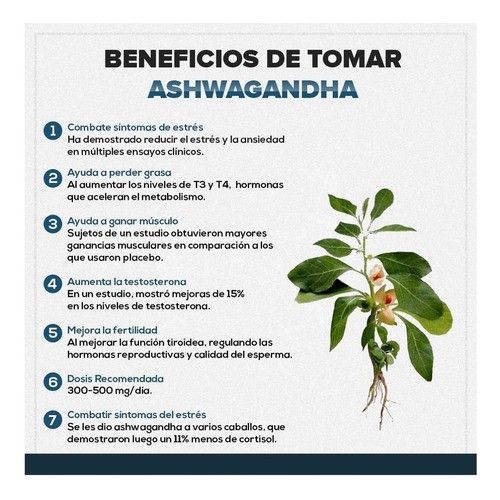 Ashwagandha  Natural en Cápsulas – Energía, Relajación y Bienestar Total